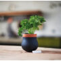 Kép 1/2 - Leonardo Serra fűszernövény tartó / kaspo fekete S